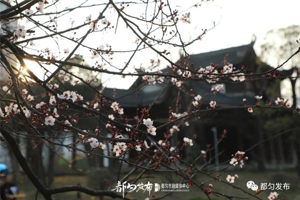 都匀人口有多少2021_2021年都匀灯会(2)